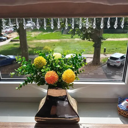 Apartamento B & S - Free Garage Parking