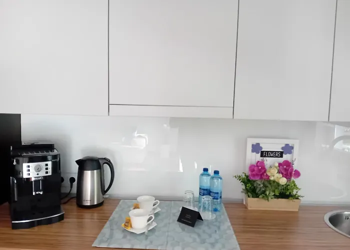 Apartmán B & S - Free Garage Parking