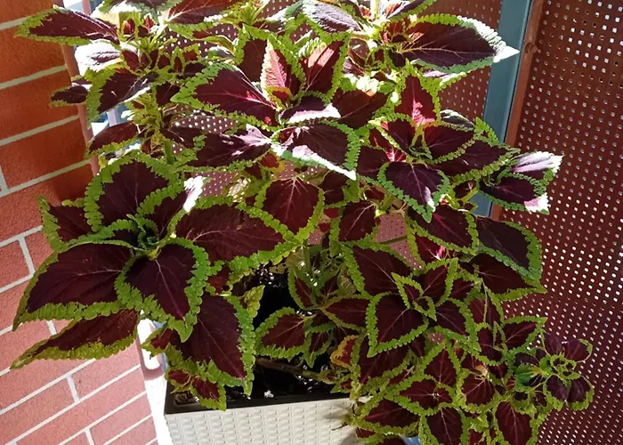 B & S - Free Garage Parking Apartamento